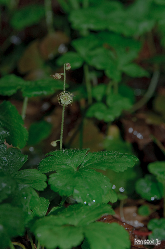 DSC_6458.jpg