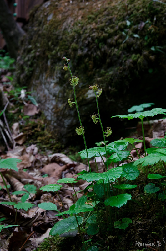 DSC_1673.jpg