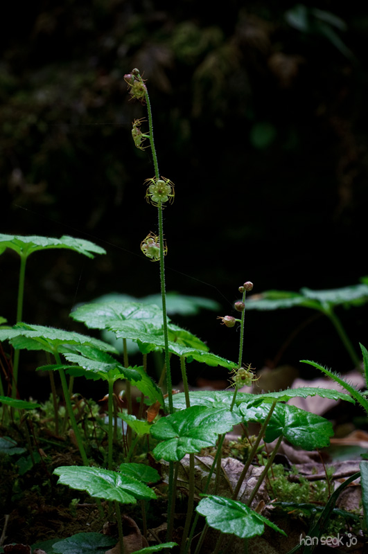 DSC_1676.jpg