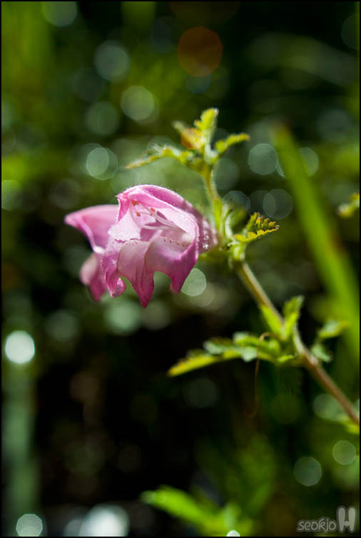 DSCF3897.jpg