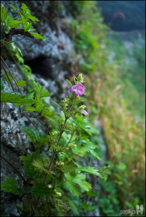 DSCF3968.jpg