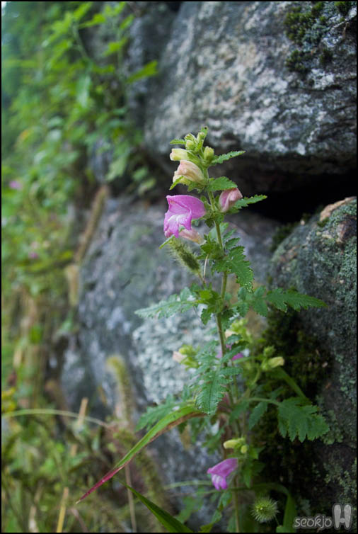 DSCF3970.jpg