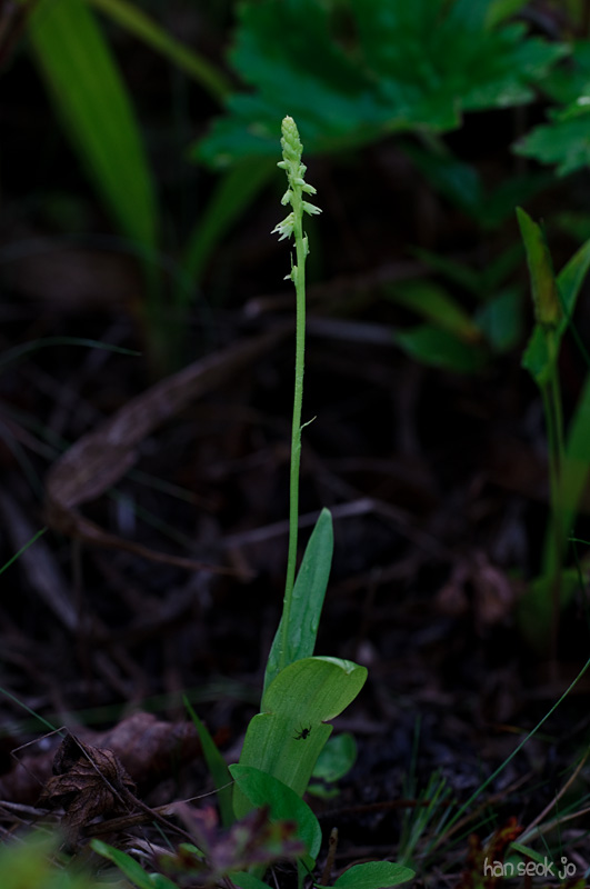 DSC_2554.jpg