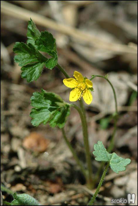 DSCF6238.jpg