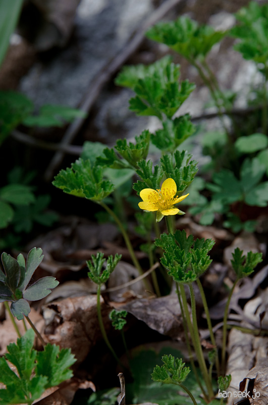 DSC_1147.jpg