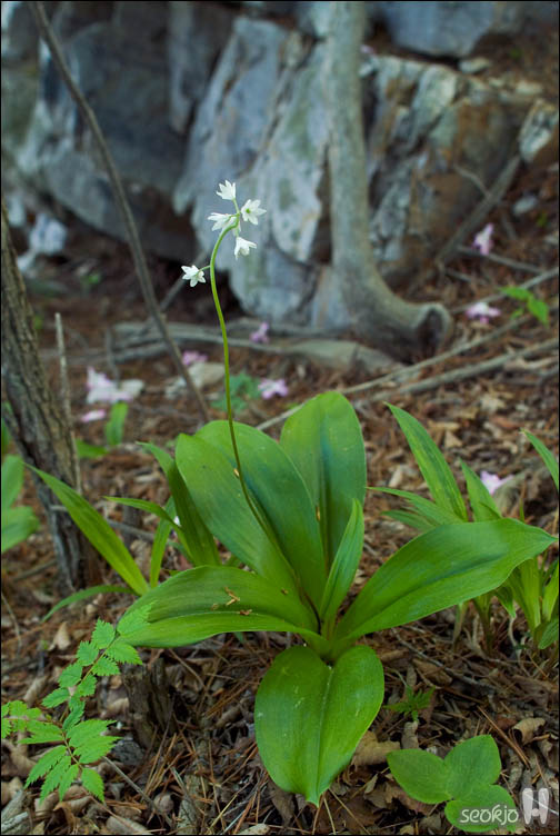 DSCF9114.jpg