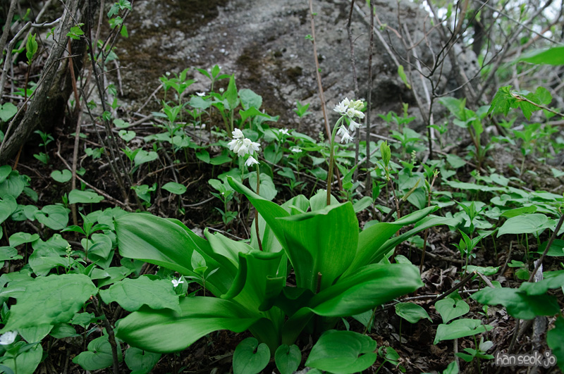 DSC_6532.jpg