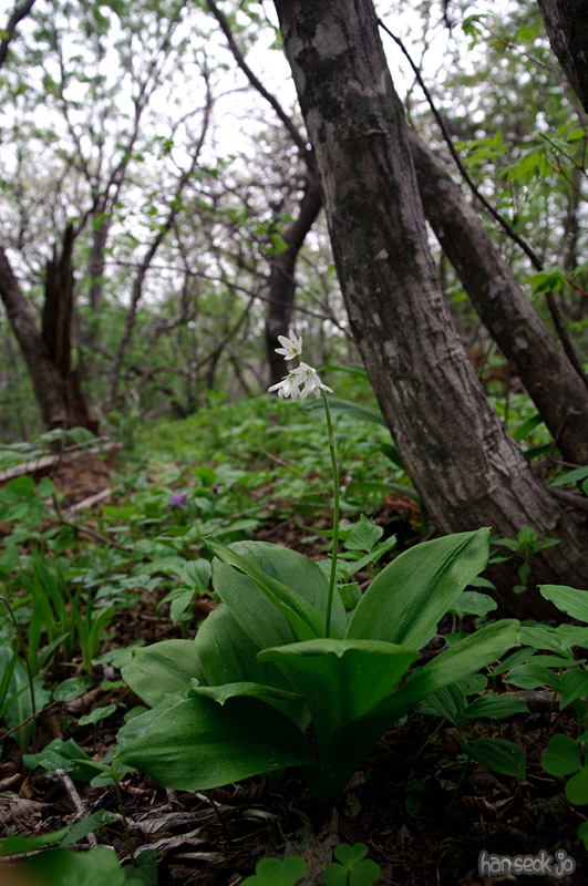 DSC_1688.jpg