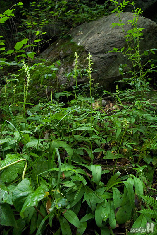 DSCF4474.jpg