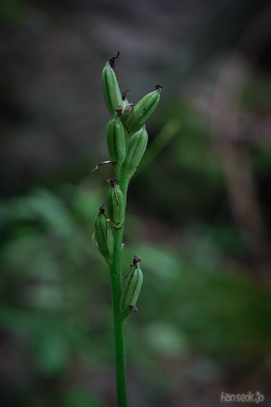 HSJ_0776.jpg