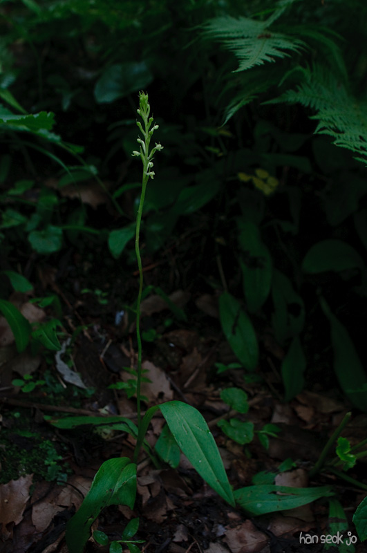 DSC_7602.jpg