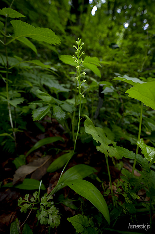 DSC_0069.jpg