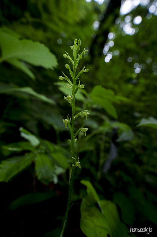 DSC_0071.jpg