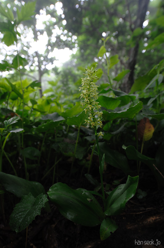 HSJ_4144.jpg