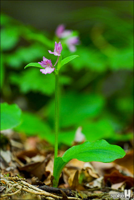 DSCF3974.jpg