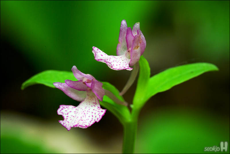 DSCF3975.jpg