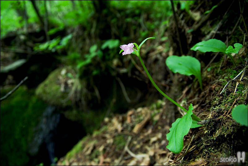 DSCF3980.jpg
