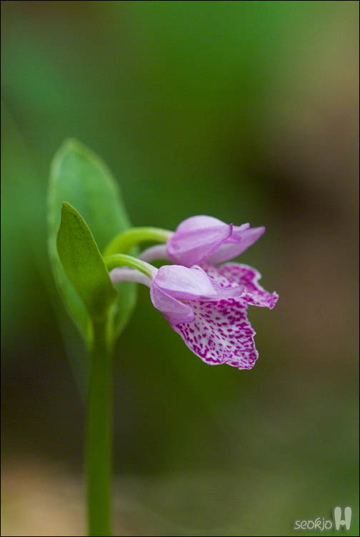 DSCF8720.jpg