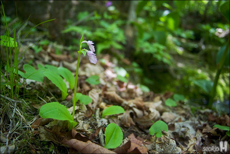 DSCF8728.jpg