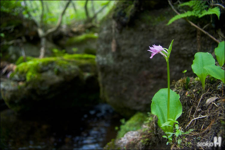 DSCF8740.jpg