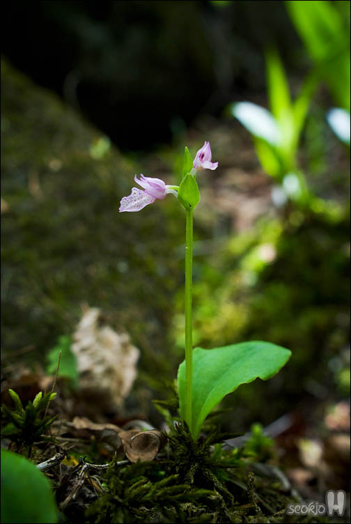 DSCF8713.jpg