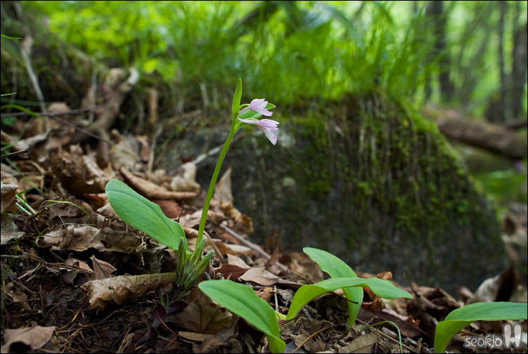 DSCF8702.jpg