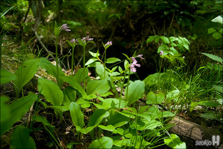 DSCF8729.jpg