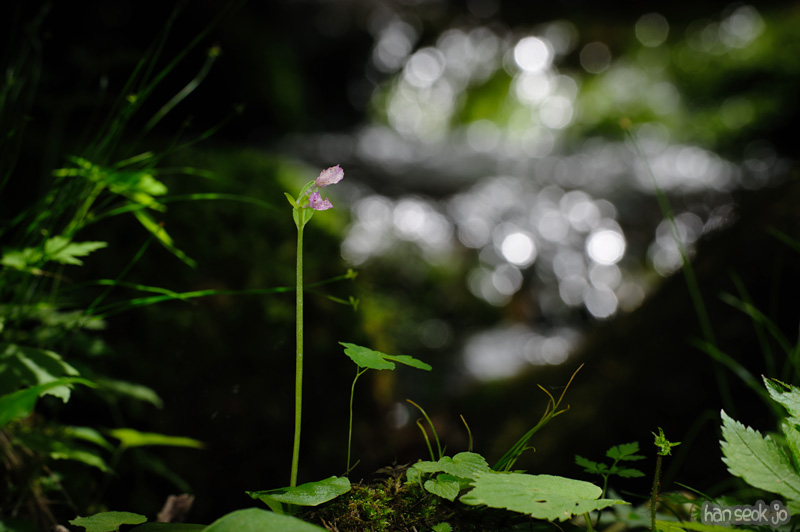 HSJ_0051.jpg