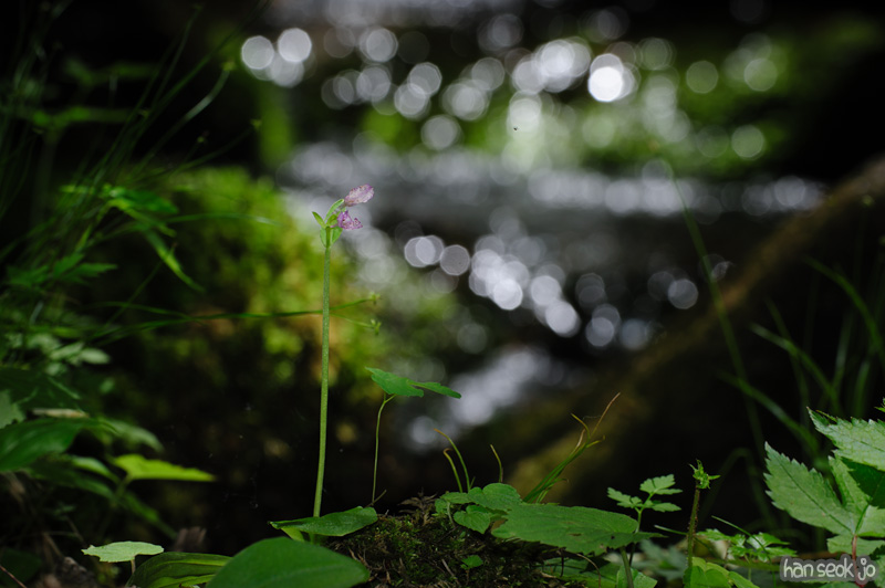 HSJ_0064.jpg
