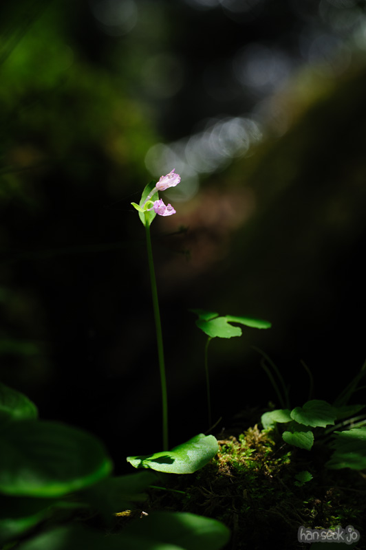 HSJ_0036.jpg