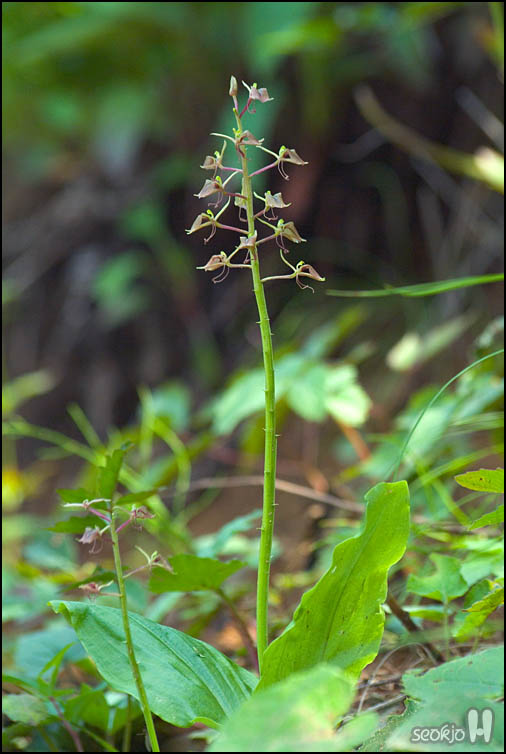 DSCF7680.jpg