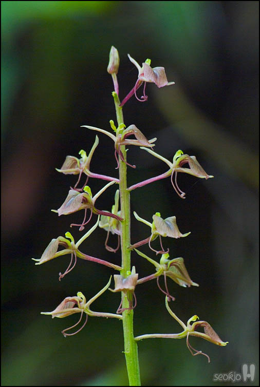 DSCF7681.jpg