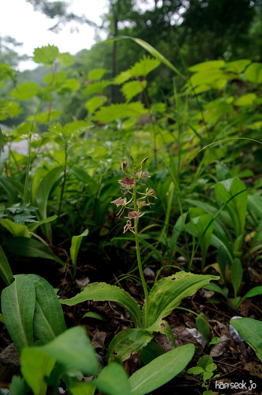 DSC_2674.jpg