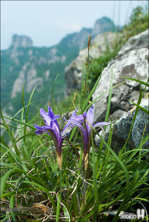 DSCF9460.jpg