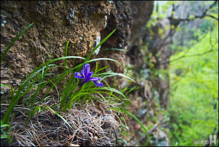 DSCF1071.jpg