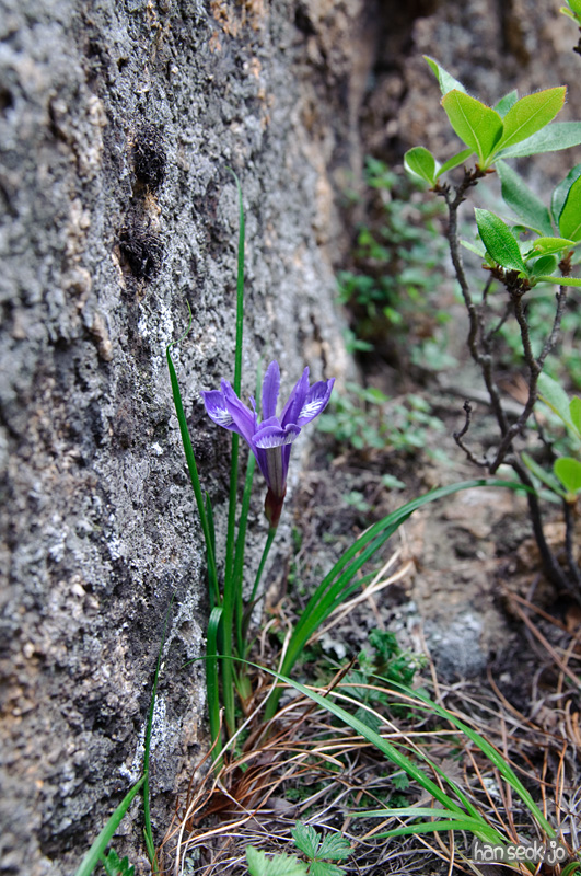 DSC_2198.jpg