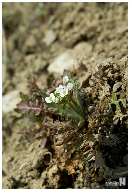 DSCF6383.jpg