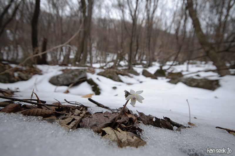 DSC_5130.jpg