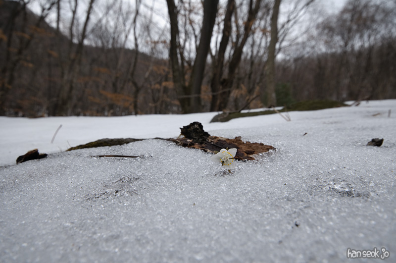 DSC_5119.jpg