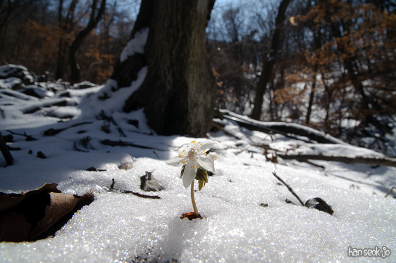DSC_5234.jpg