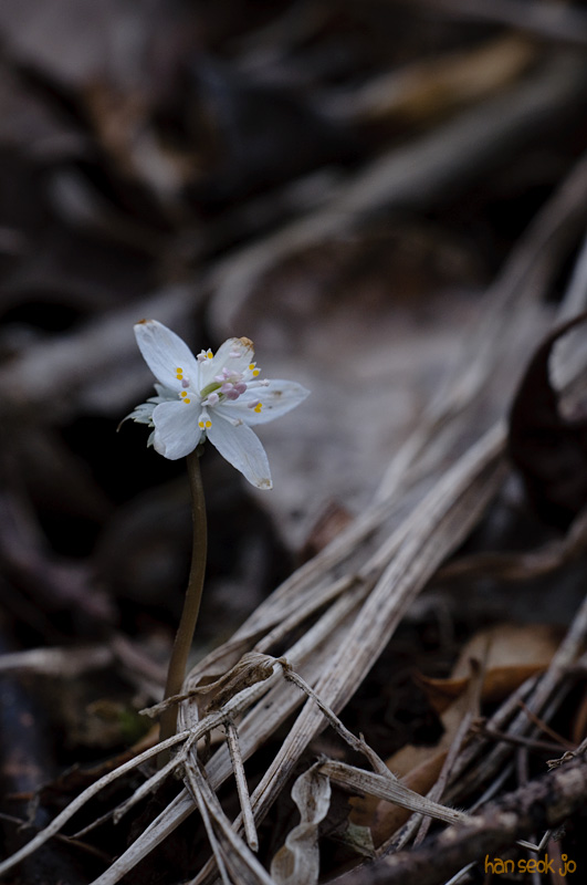 DSC_9917.jpg
