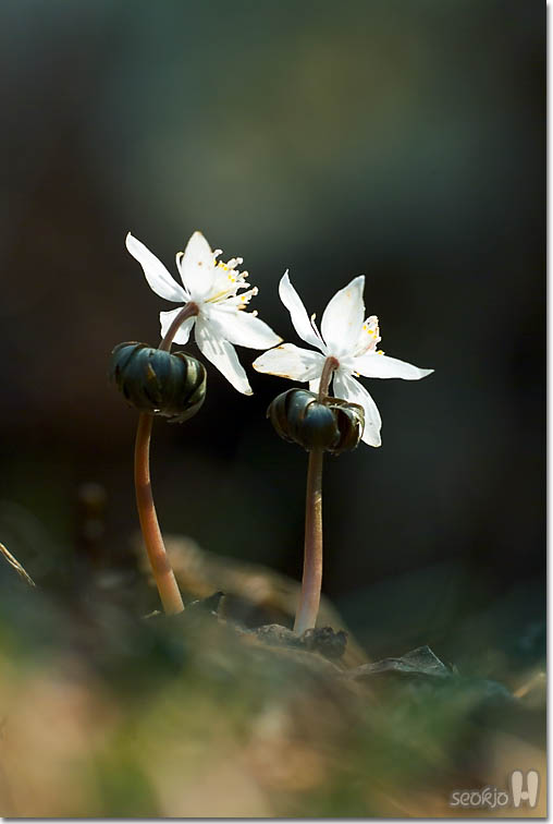 DSCF6208.jpg