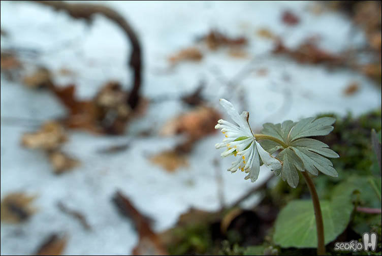 DSCF7076.jpg