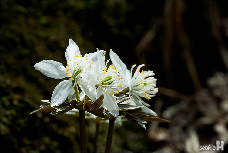 DSCF7058.jpg
