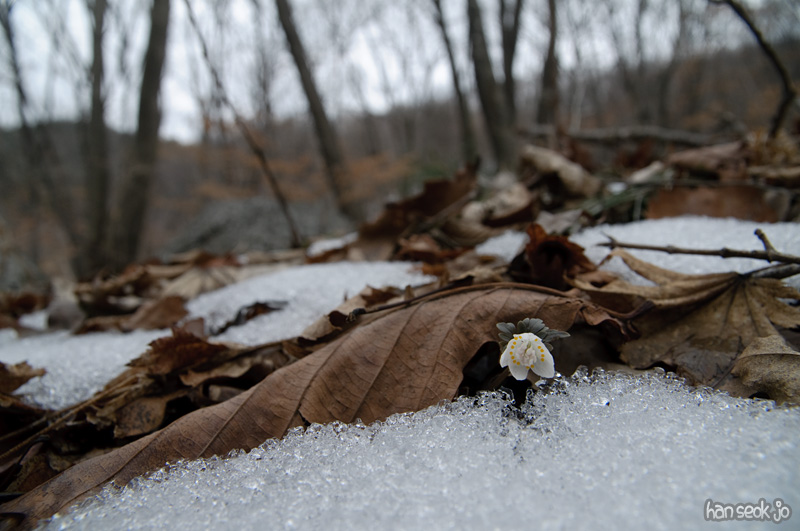DSC_5106.jpg