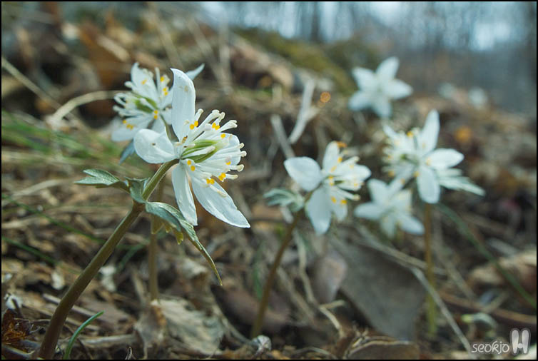 DSCF5550.jpg
