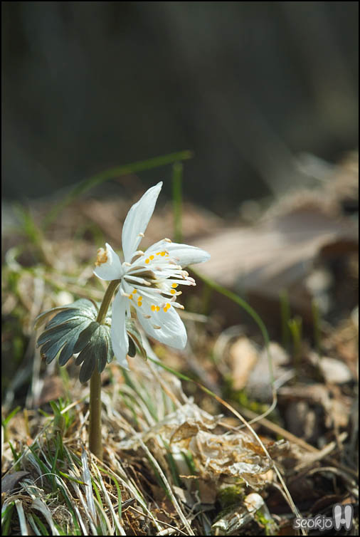 DSCF5544.jpg