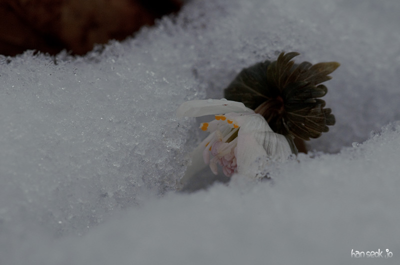 DSC_0049.jpg