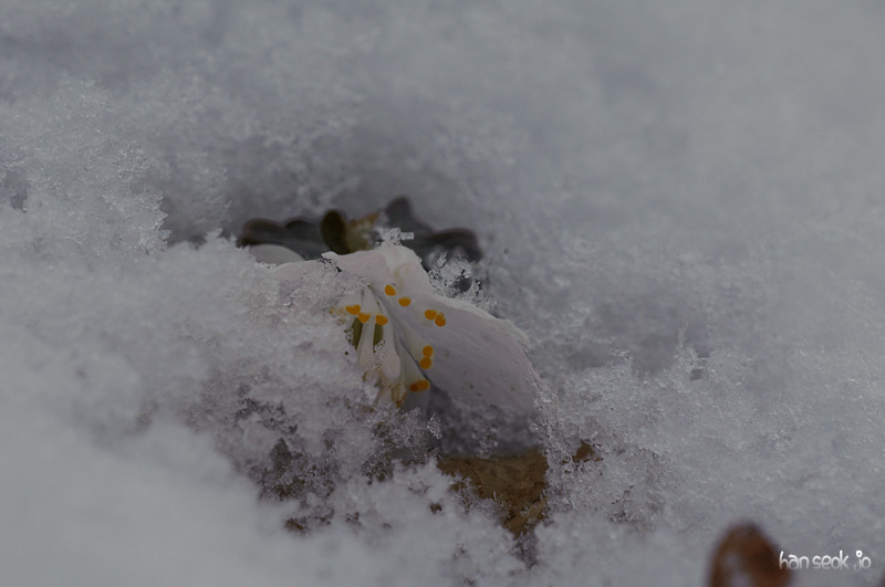 DSC_0047.jpg