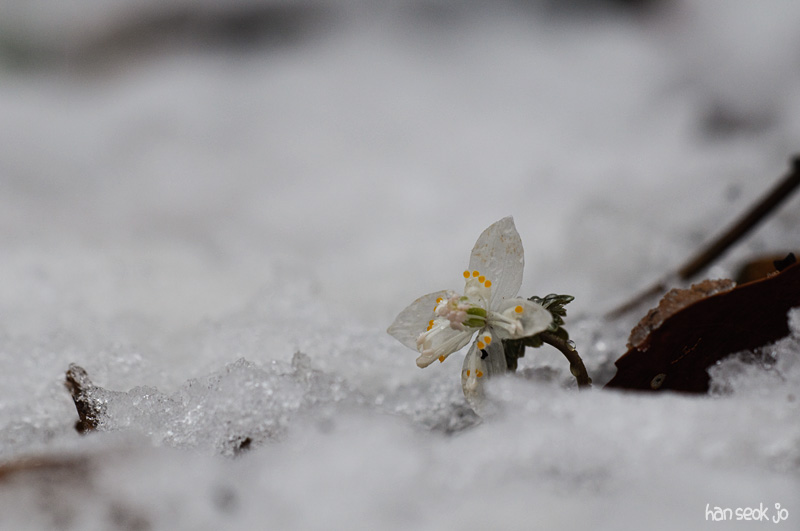 DSC_0170.jpg